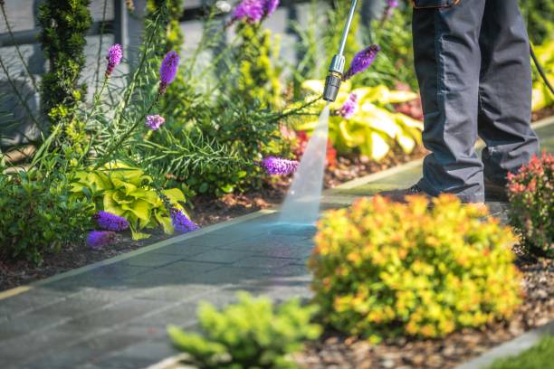 Best Parking Lot and Garage Cleaning  in Rson, CA